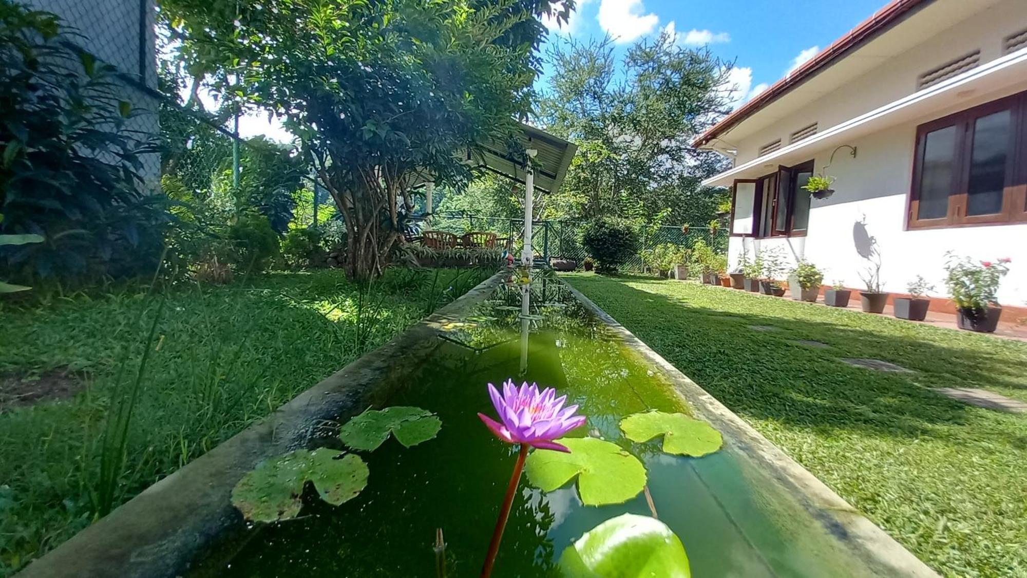 Mahaweli Shades Hotel Kandy Exterior photo
